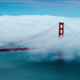 Le Golden Gate Bridge, se transformant en un graphique à tendance descendante.